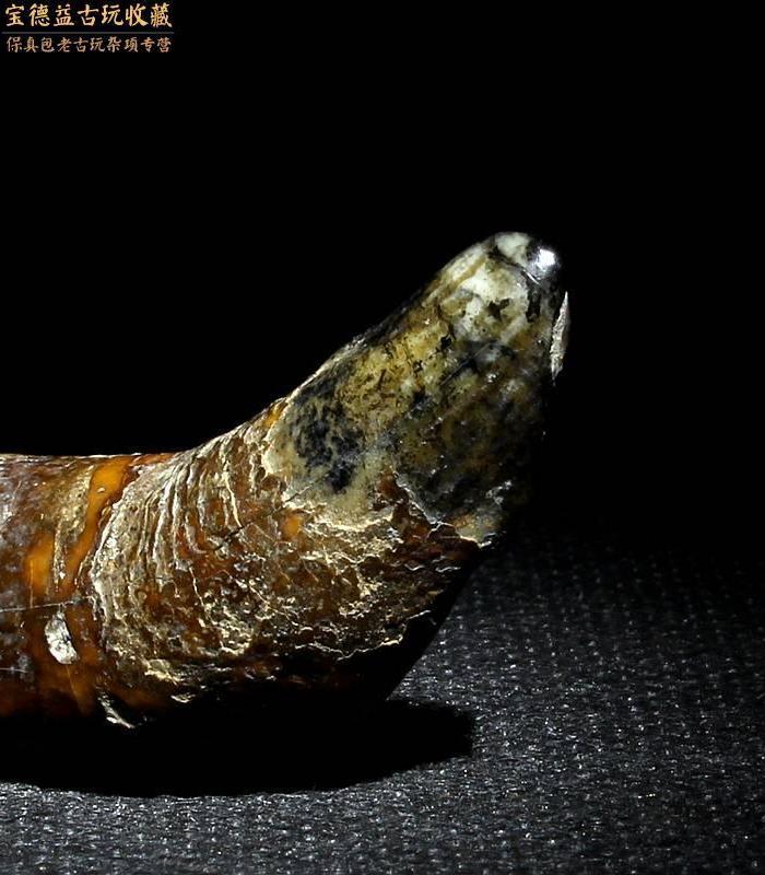 爆老千年钙化辟邪老兽牙【推荐包银佩戴】_爆