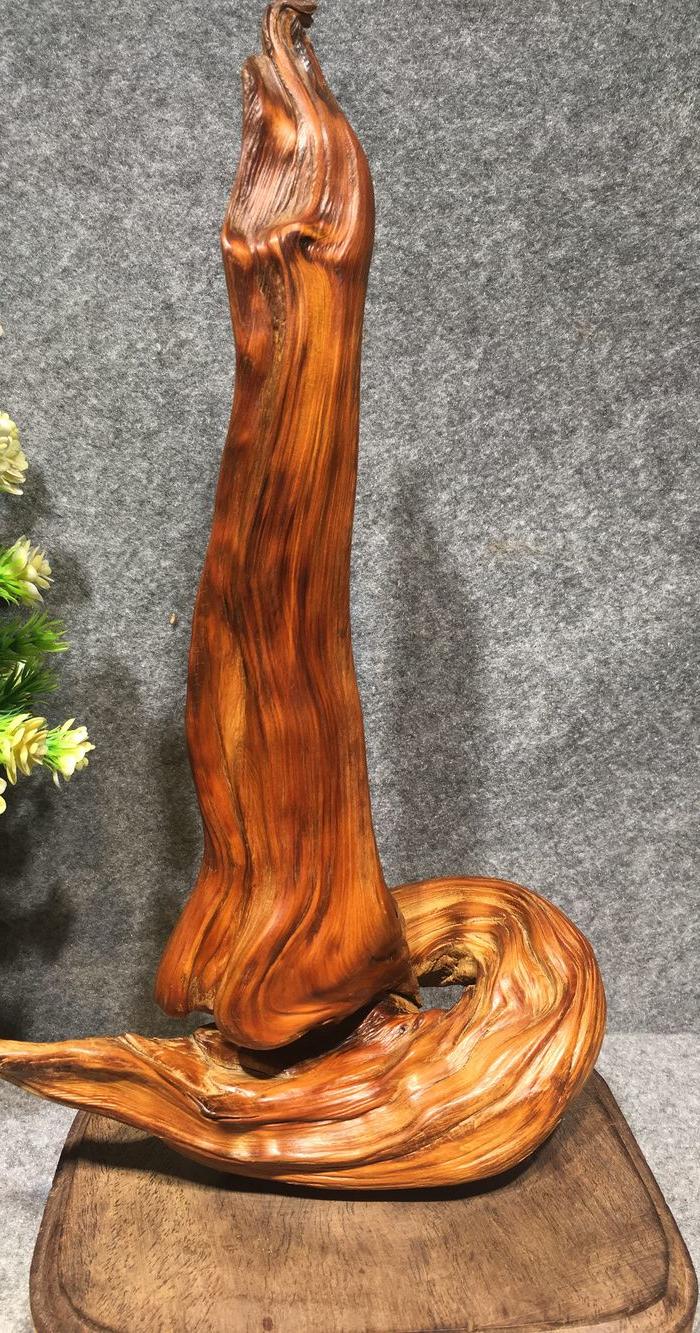 之太行崖柏红油陈华料 屹立盘旋 迎难而上随型