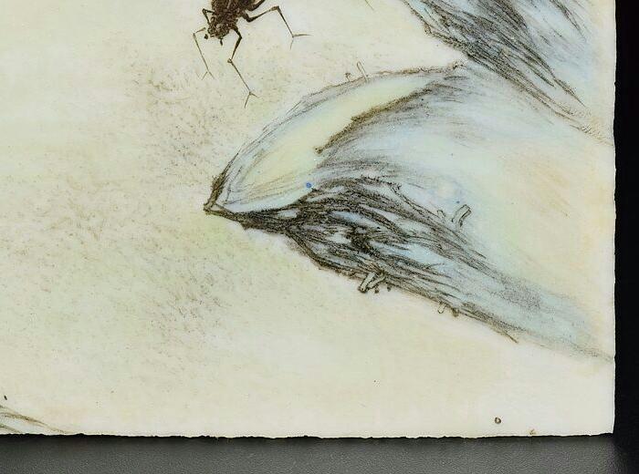 李明亮瓷画秋色清华_李明亮瓷画秋色清华价格