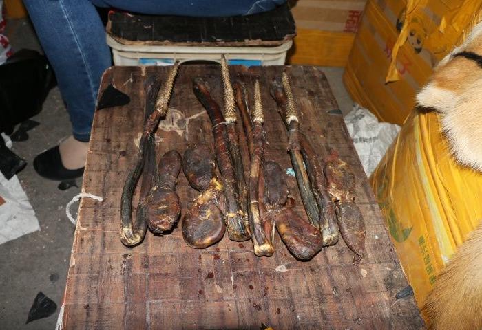 虎鞭_虎鞭价格_虎鞭图片_来自藏友古董小晶_