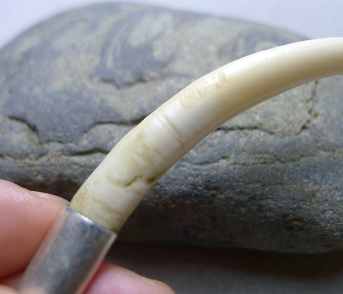 一个老牙獐牙包银吊坠辟邪保平安麝香麝牙鹿牙