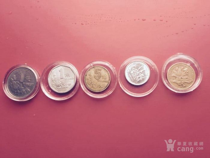中国硬币五朵金花