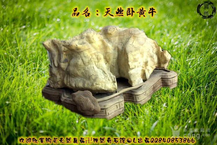 71精品卍天下第一奇石!黄灵璧卧黄牛纯自然形成!
