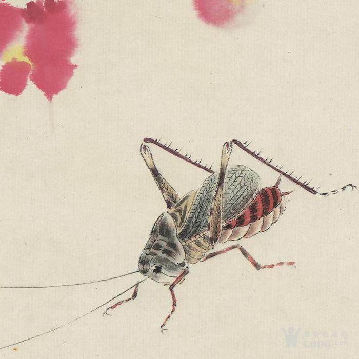 齐白石草虫册页 红花秋声图