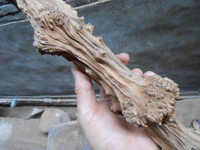 十七级瘤花奶香味陈化脱骨《红梅赞》蜜香柏瘤