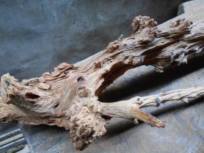 十七级瘤花奶香味陈化脱骨《红梅赞》蜜香柏瘤