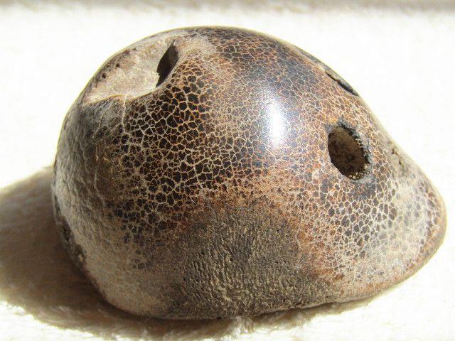 珍贵材料 X 膝盖骨 挂件_珍贵材料 X 膝盖骨 挂