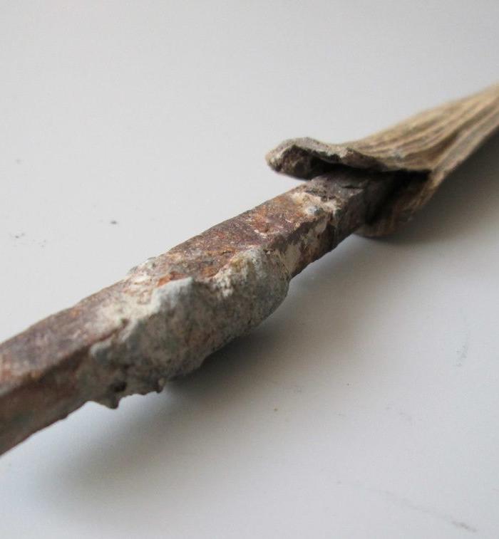 战国越国带木鞘铁锥(浙江绍兴出土)_战国越国