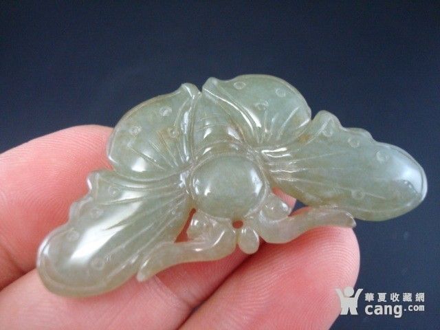 伟德国际肉羊相关食品资讯_食品伙伴网