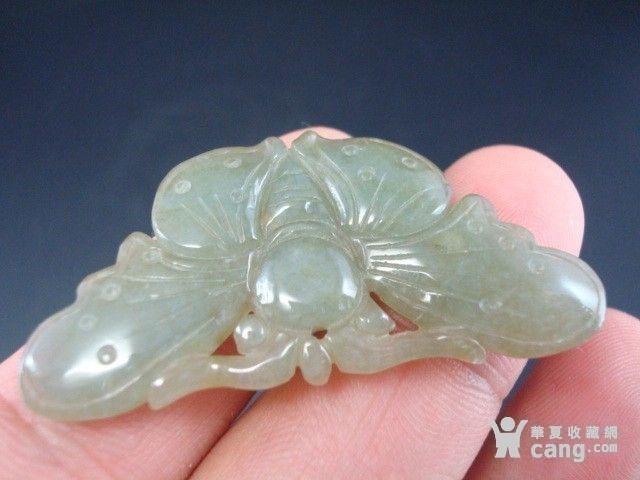 伟德国际放眼“大九州”