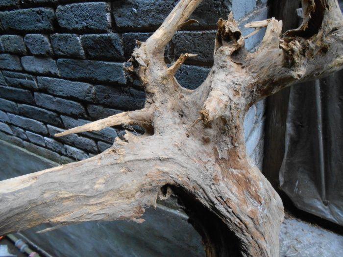 重十斤赣出七星级千年脱骨《禅世雕龙》蜜香柏