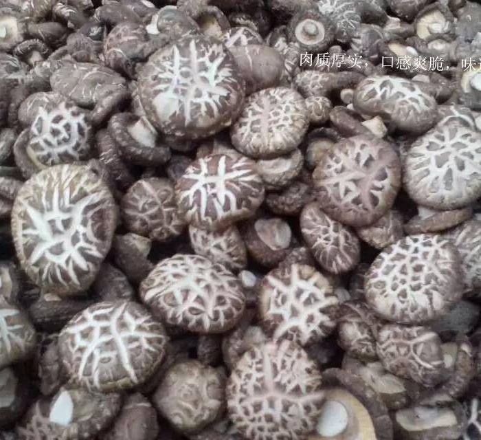 野生椴木香菇,干香菇,35一斤全国包邮不议价_