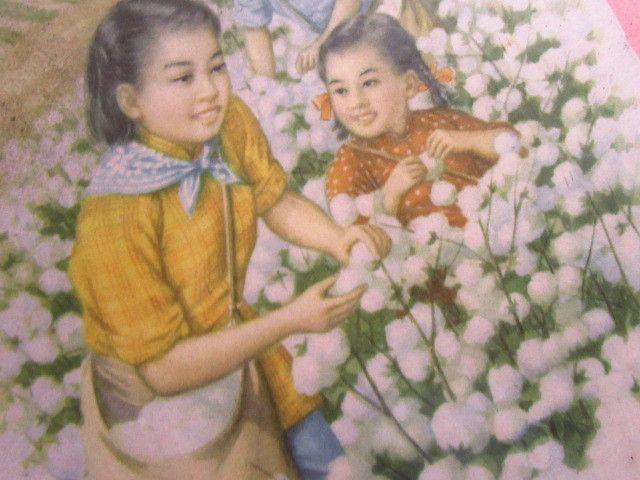 上海庐山画片图书出版社摘棉花建国初新中国年