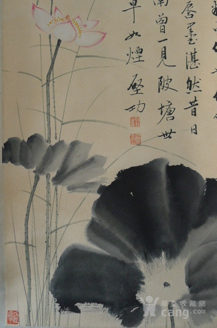 启功荷花作品