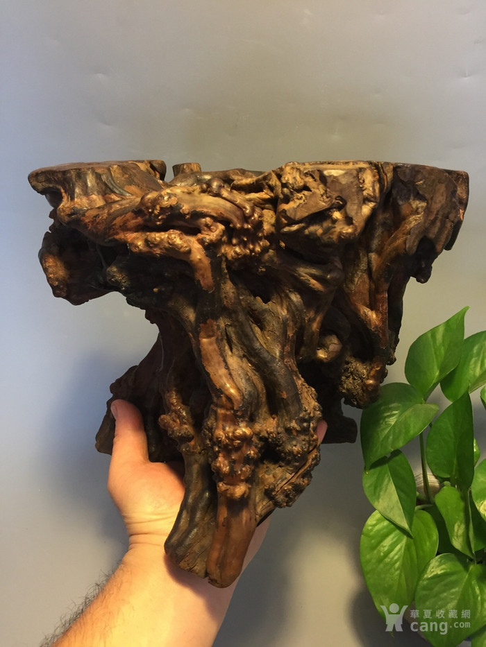 清 自然根雕 大笔筒 美品