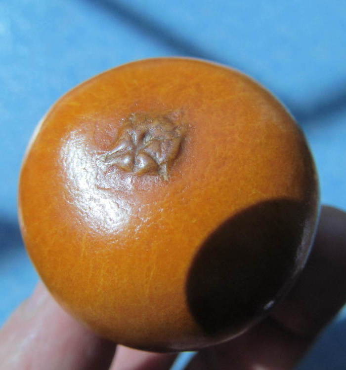 盘玩5年的小葫芦(不议价)