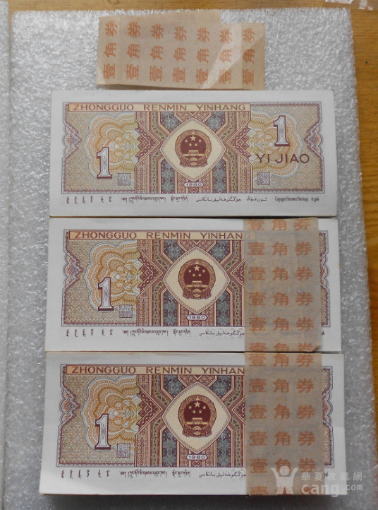 8001正红背绿冠号