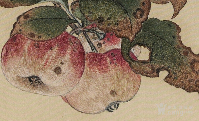 黄筌苹婆山鸟图