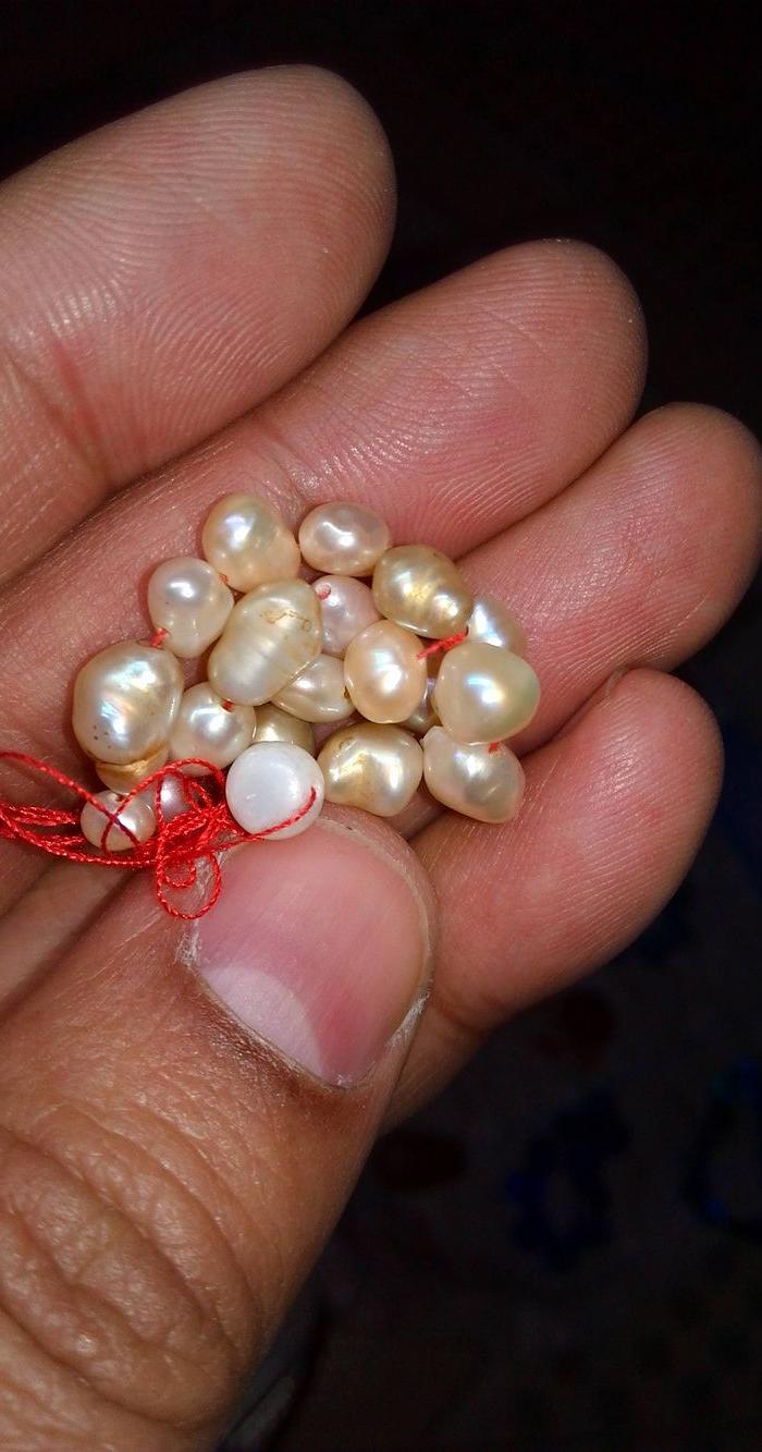 人老珠黄_人老珠黄价格_人老珠黄图片_来自藏