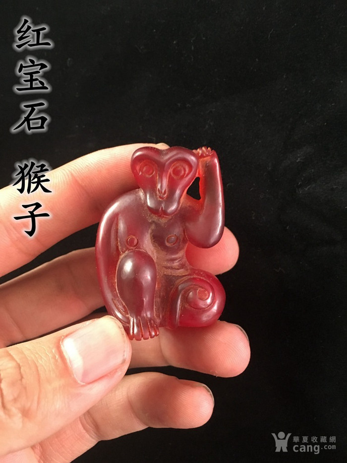 红宝石 猴子