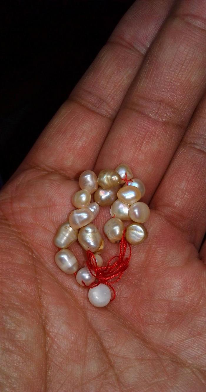 人老珠黄_人老珠黄价格_人老珠黄图片_来自藏