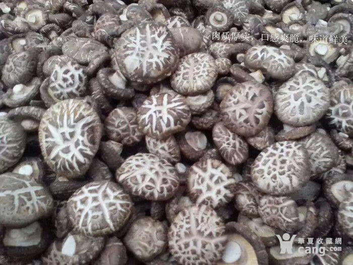 干香菇,37一斤全国包邮不议价_干香菇,37一斤