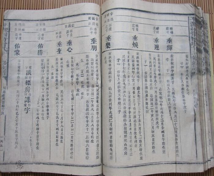 特大!特厚!排印版 平原村背会氏族谱 第八,按孔