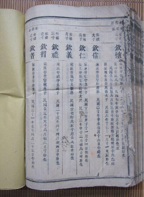 特大!特厚!排印版 平原村背会氏族谱 第八,按孔