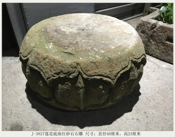 ɰʯʯʯj 3827