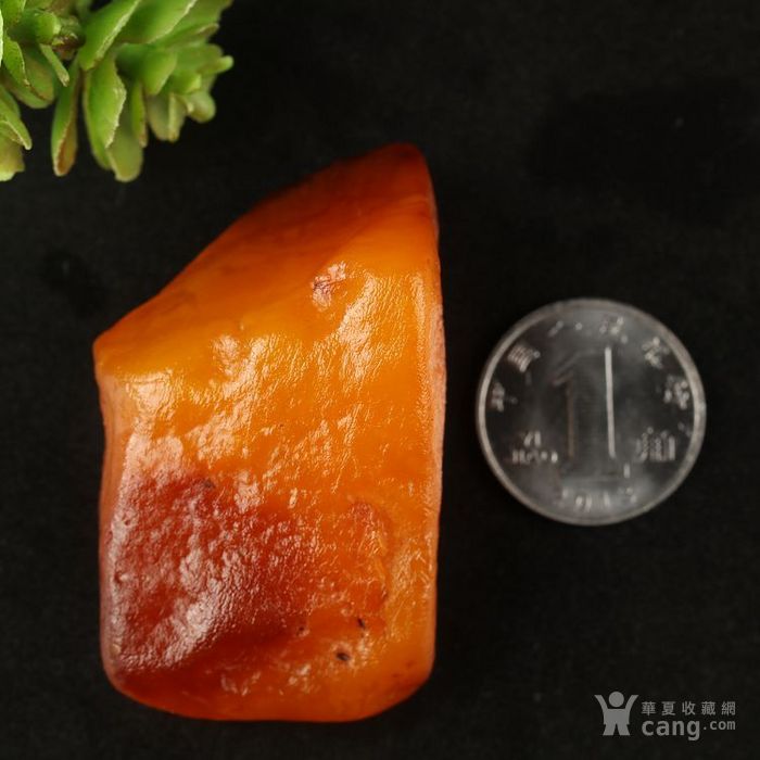 波罗的海蜜蜡原石10 20规格15.61克Z176随型