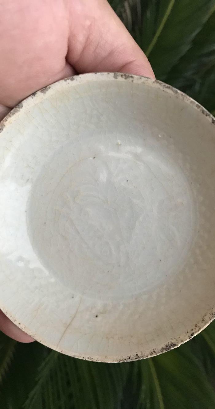 南song白舍窑水藻纹双鱼洗_南song白舍窑水藻