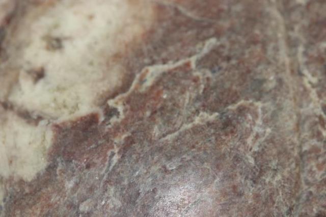 神纹鸟摆件_神纹鸟摆件价格_神纹鸟摆件图片