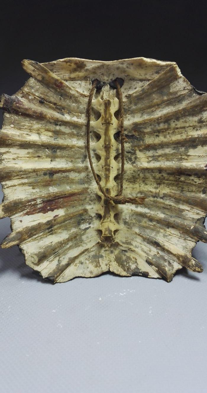 清代甲鱼壳八卦天神避邪挂件