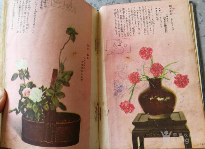 民国日本有关园艺园林养花插花盆景等方面的书