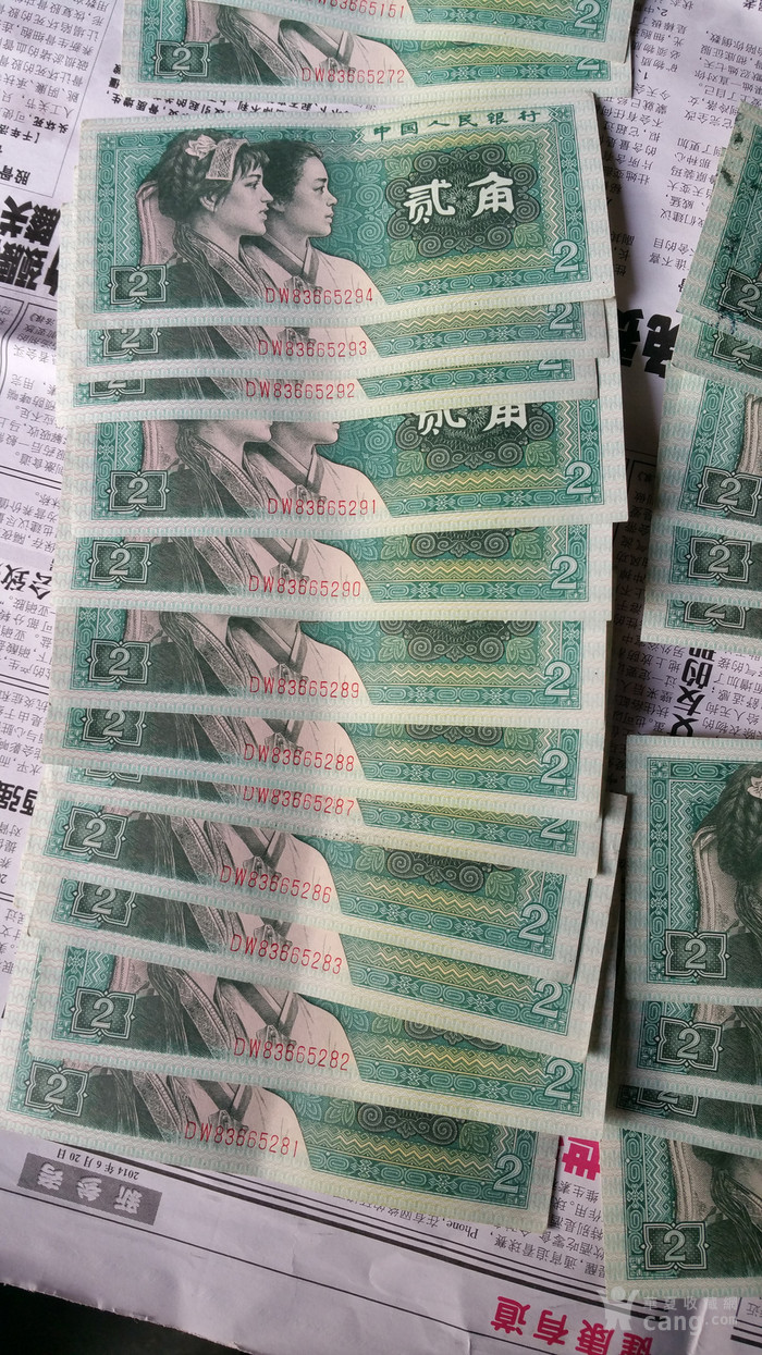 80二毛
