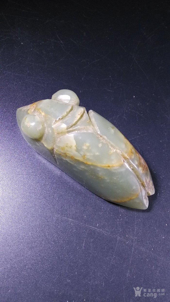 玉虫