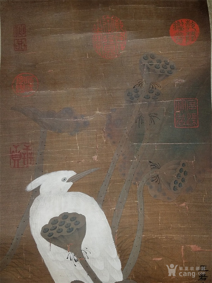 王若水 花鸟