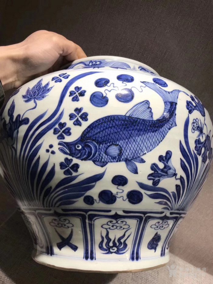 元青花鱼藻纹罐,东西开门