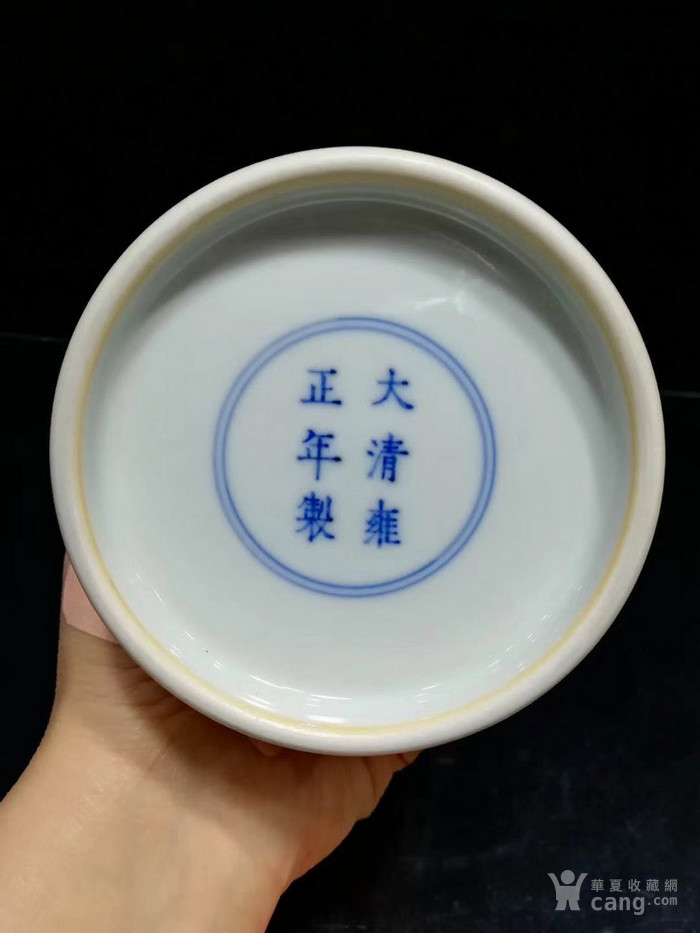 清雍正年花鸟纹梅瓶