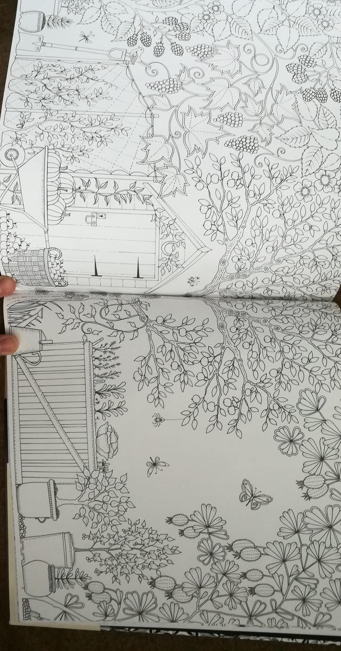 韩国版涂画书精装版