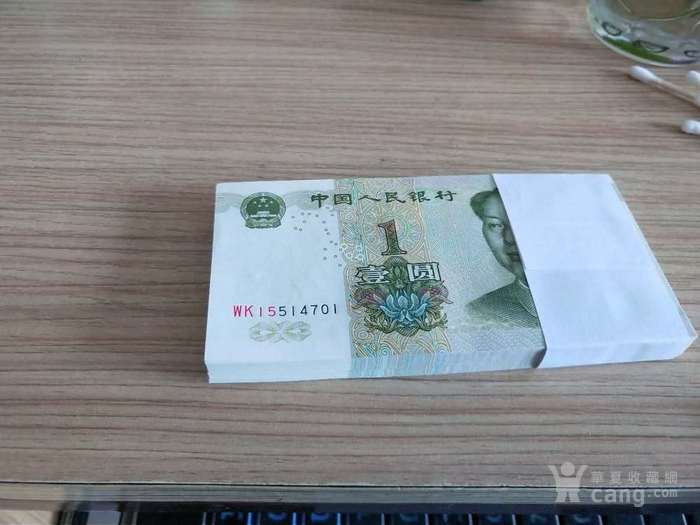 991大叶兰数字荧光