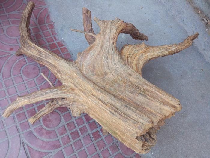 《幽兰深巷中》佛檀蜜香柏极品高油高香黑骨舍