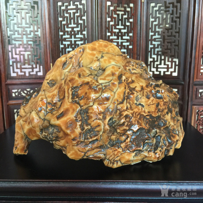 蒙古沙漠漆原石《黄金山》