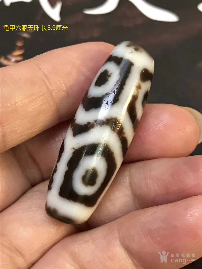 龟甲六眼天珠