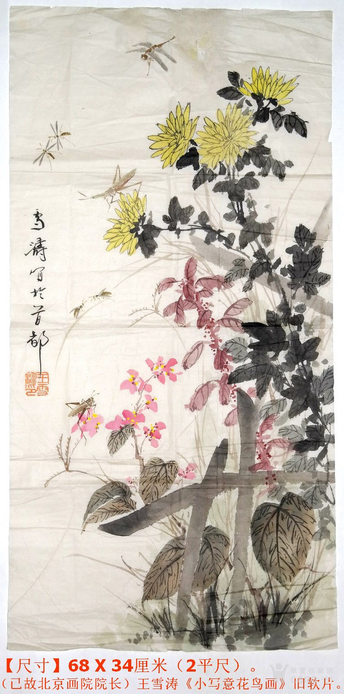 京津画派 王雪涛《小写意花鸟画》旧软片 近现代名人老字画