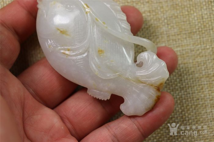 图片点击可在新窗口打开查看