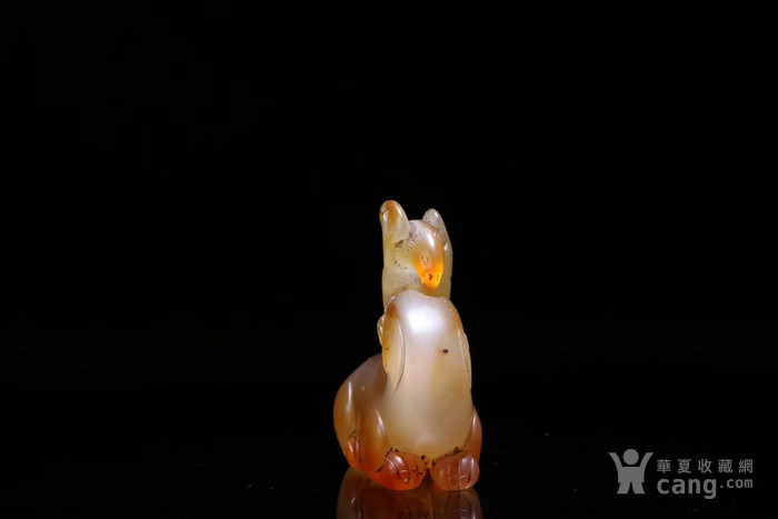 玛瑙鹰熊斗志