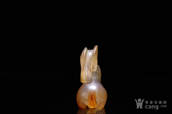玛瑙鹰熊斗志