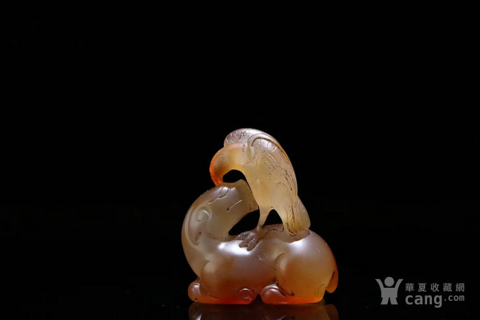 玛瑙鹰熊斗志