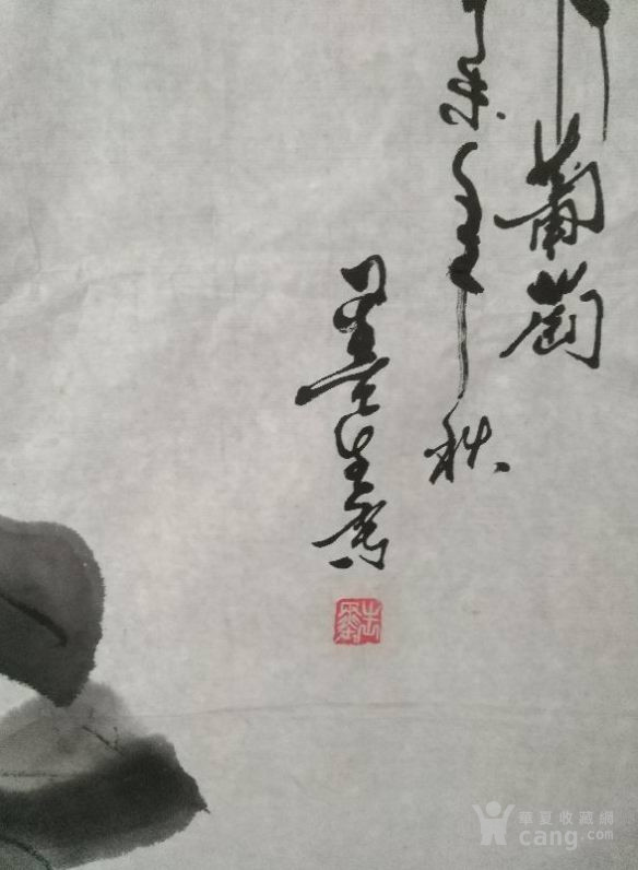 画家王墨老师手绘作品 七月葡萄 画片